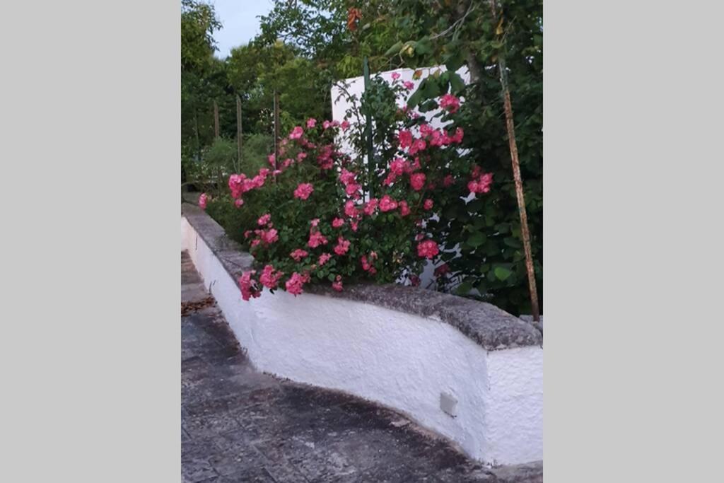 Trulli Relax A Martina Franca别墅 外观 照片