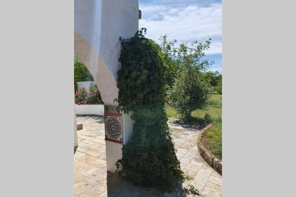 Trulli Relax A Martina Franca别墅 外观 照片